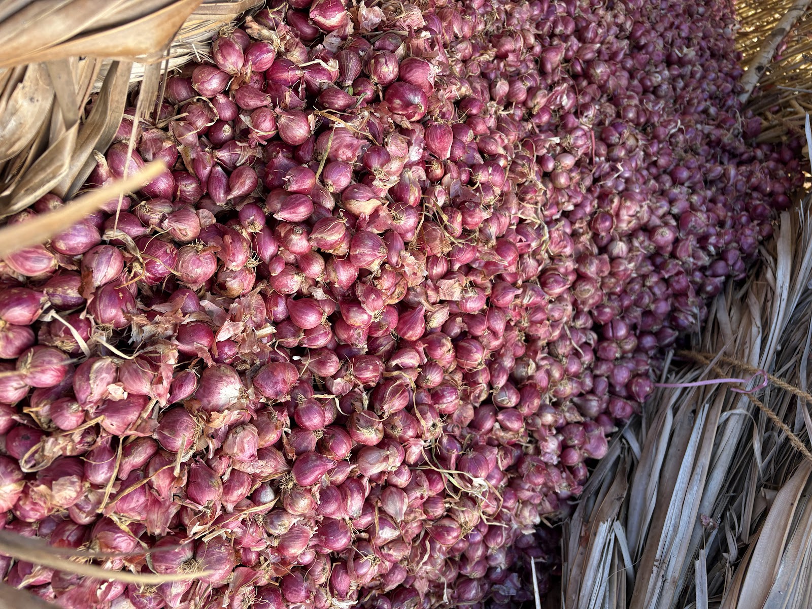 CM Agro India Harvest & Selection 1