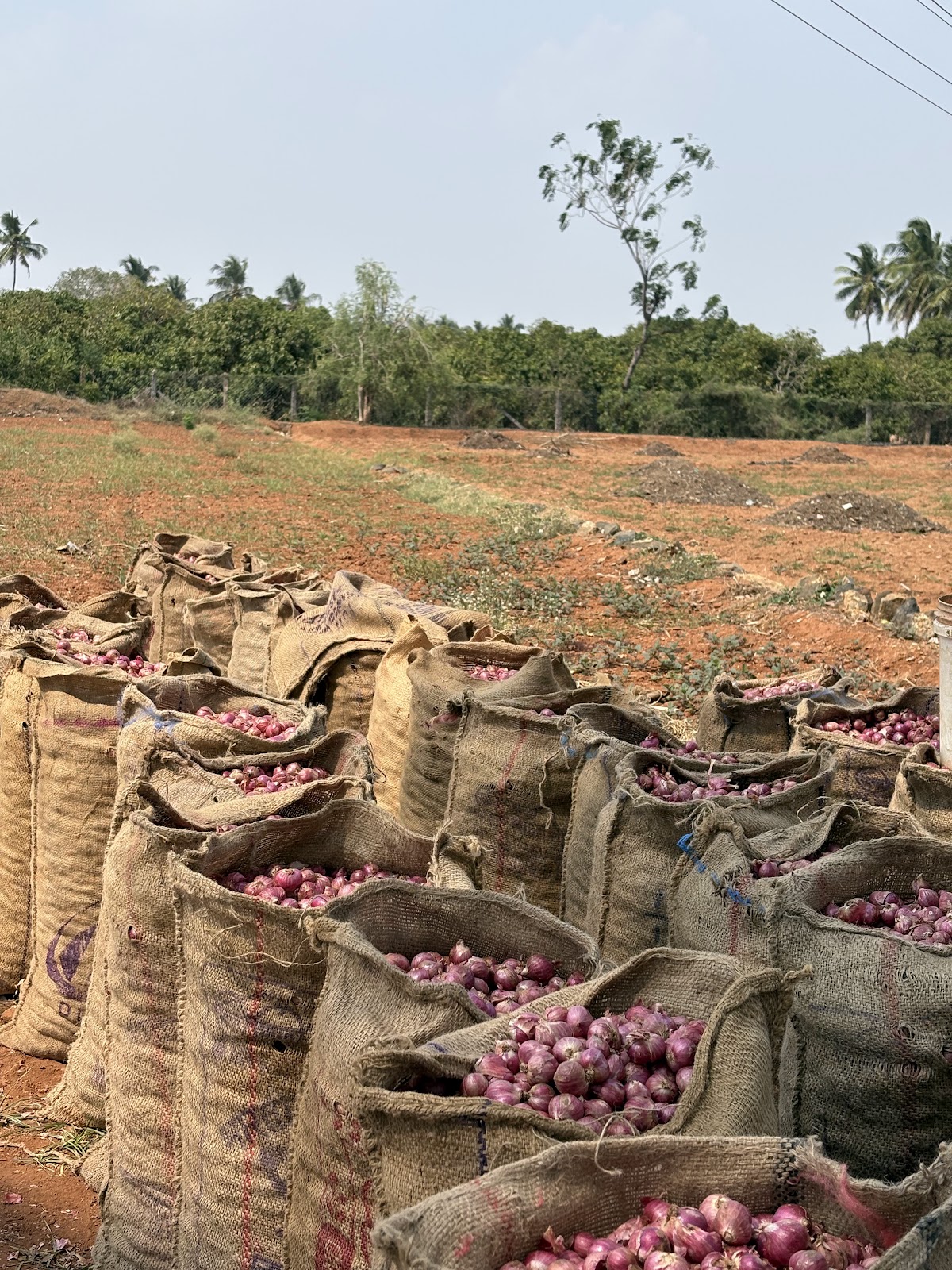 CM Agro India Harvest & Selection 4