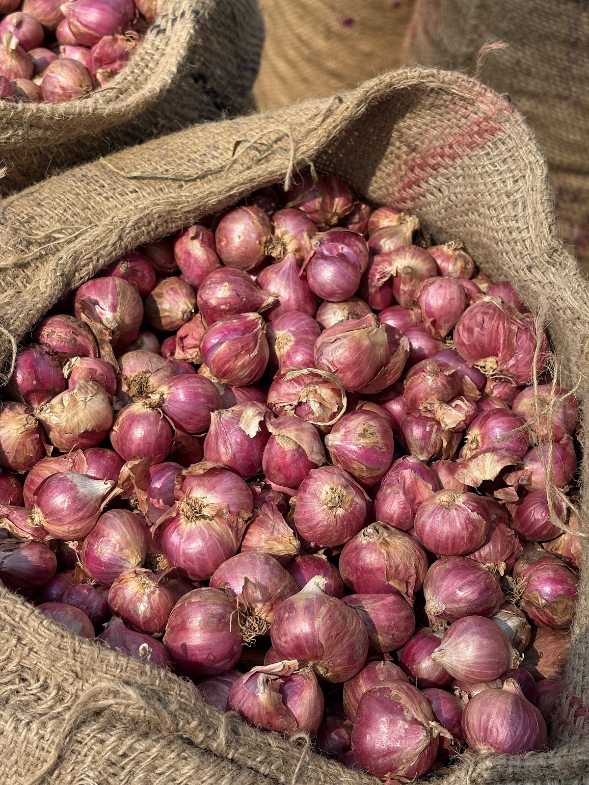 CM Agro India Harvest & Selection 5