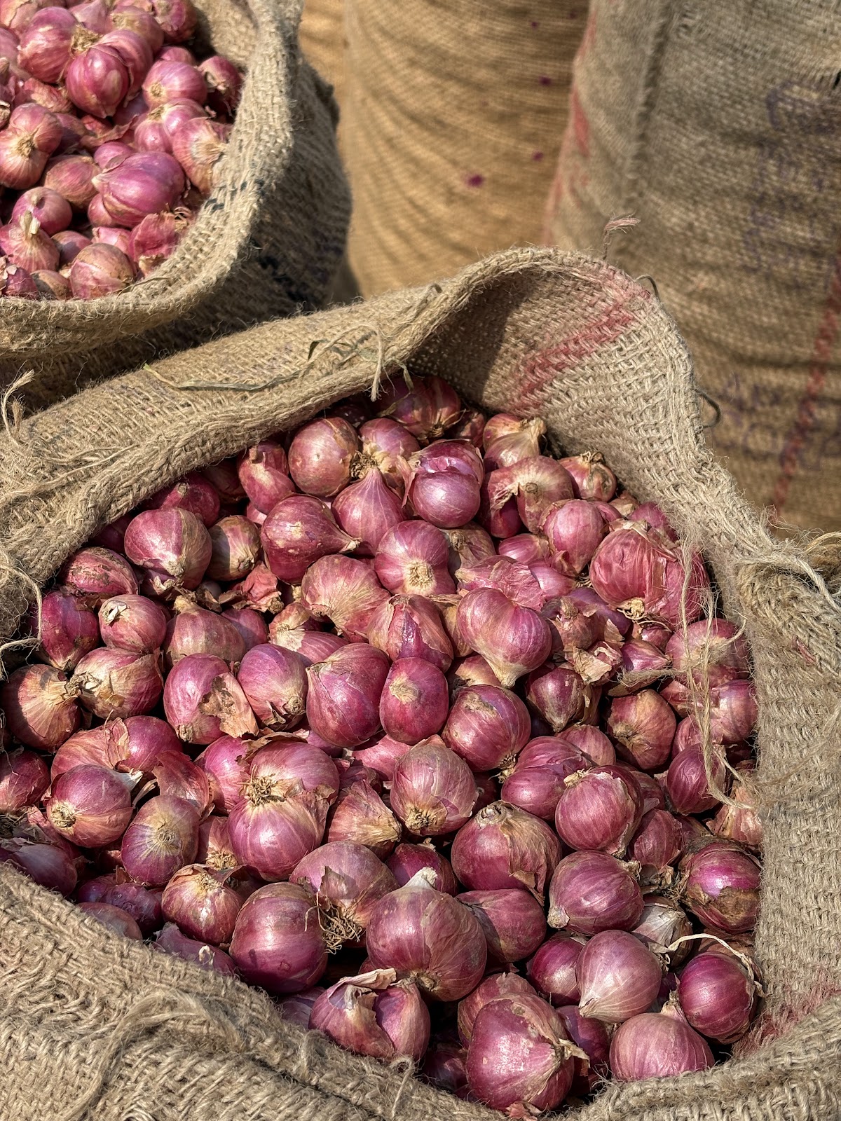 CM Agro India Harvest & Selection 6